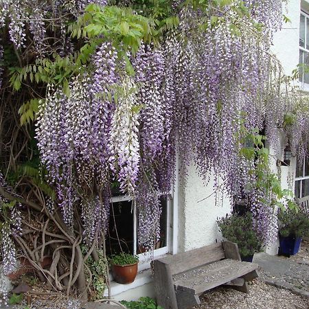 شقة Half Moon House هاي أُن ويا المظهر الخارجي الصورة